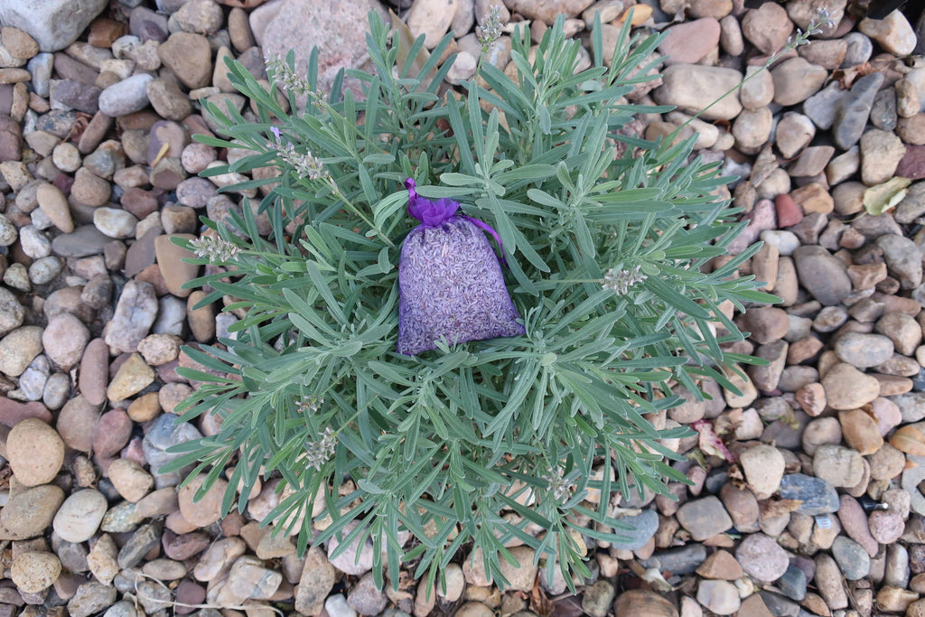 Lavender Sachet