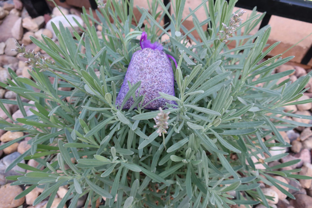 Lavender Sachet