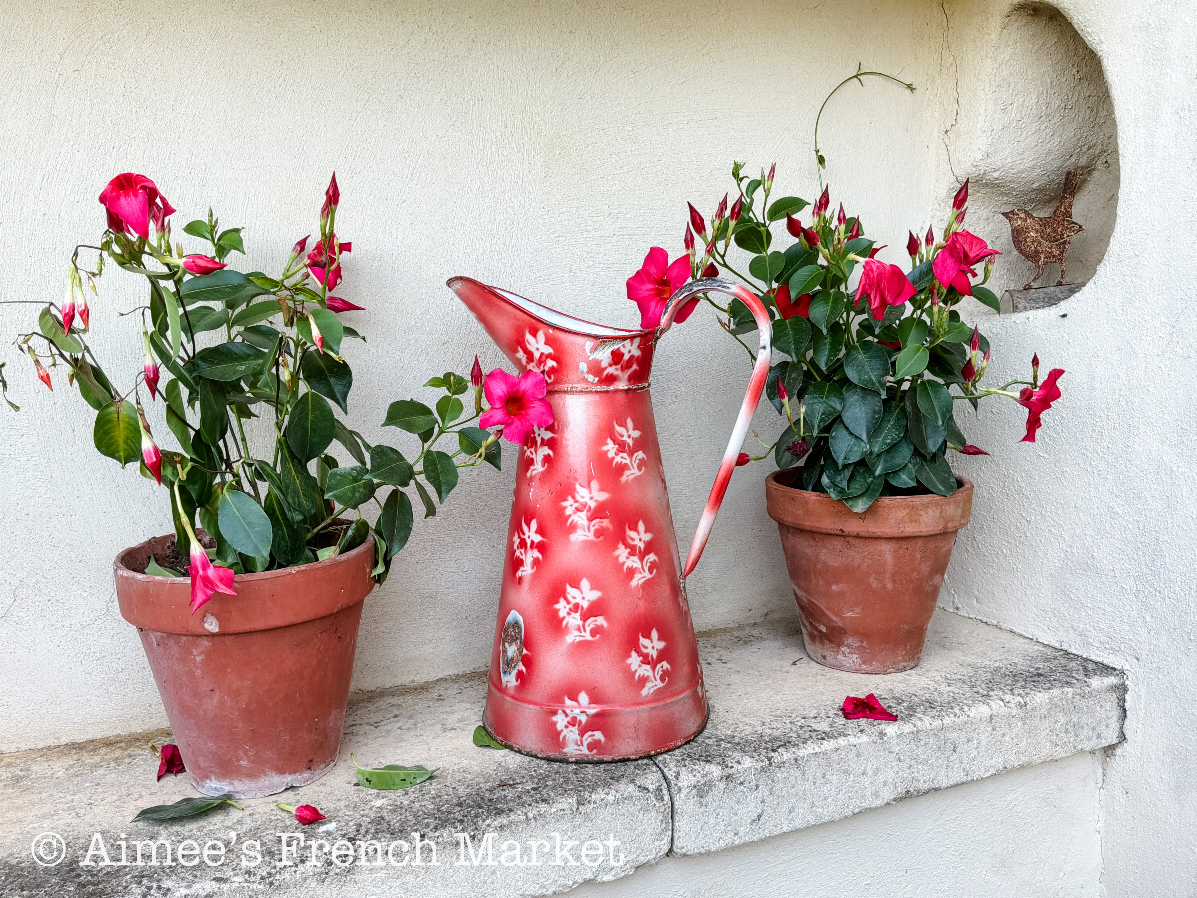 Antique French Enamelware Pitcher — Rare Red Ground White Floral — Large