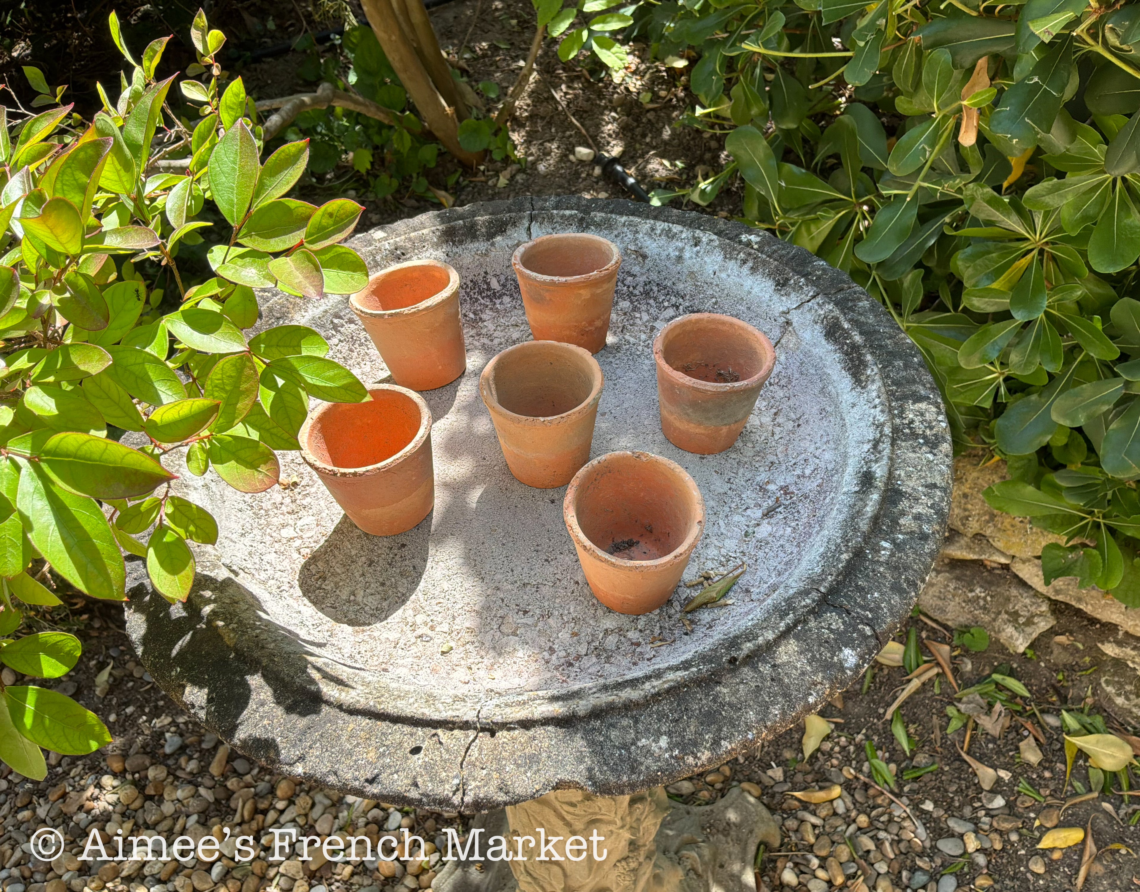 Small Terra Cotta Seedling Pots - Set of 10
