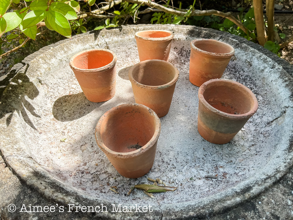 Small Terra Cotta Seedling Pots - Set of 10