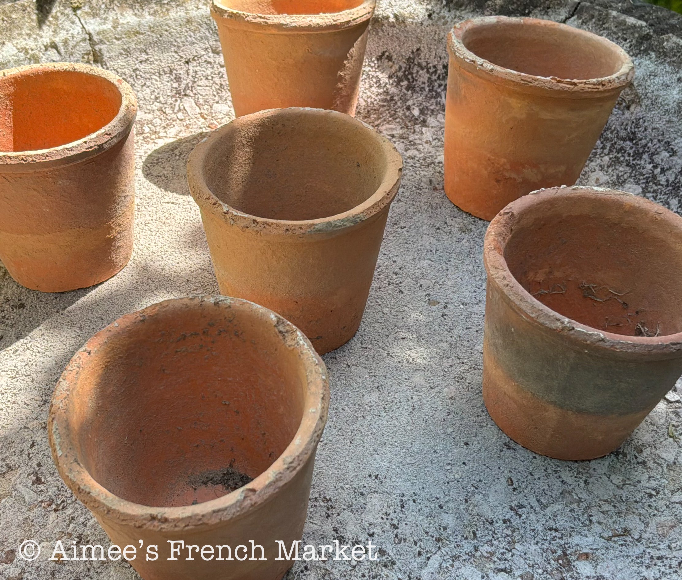 Small Terra Cotta Seedling Pots - Set of 10