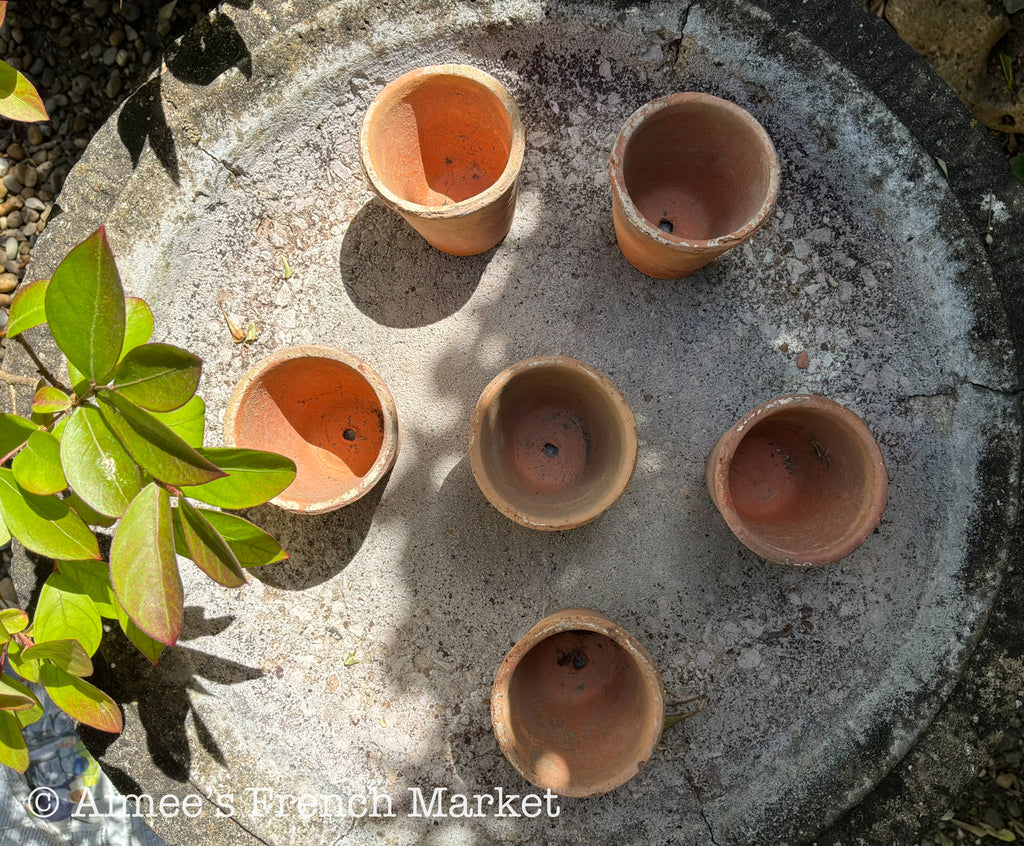 Small Terra Cotta Seedling Pots - Set of 10