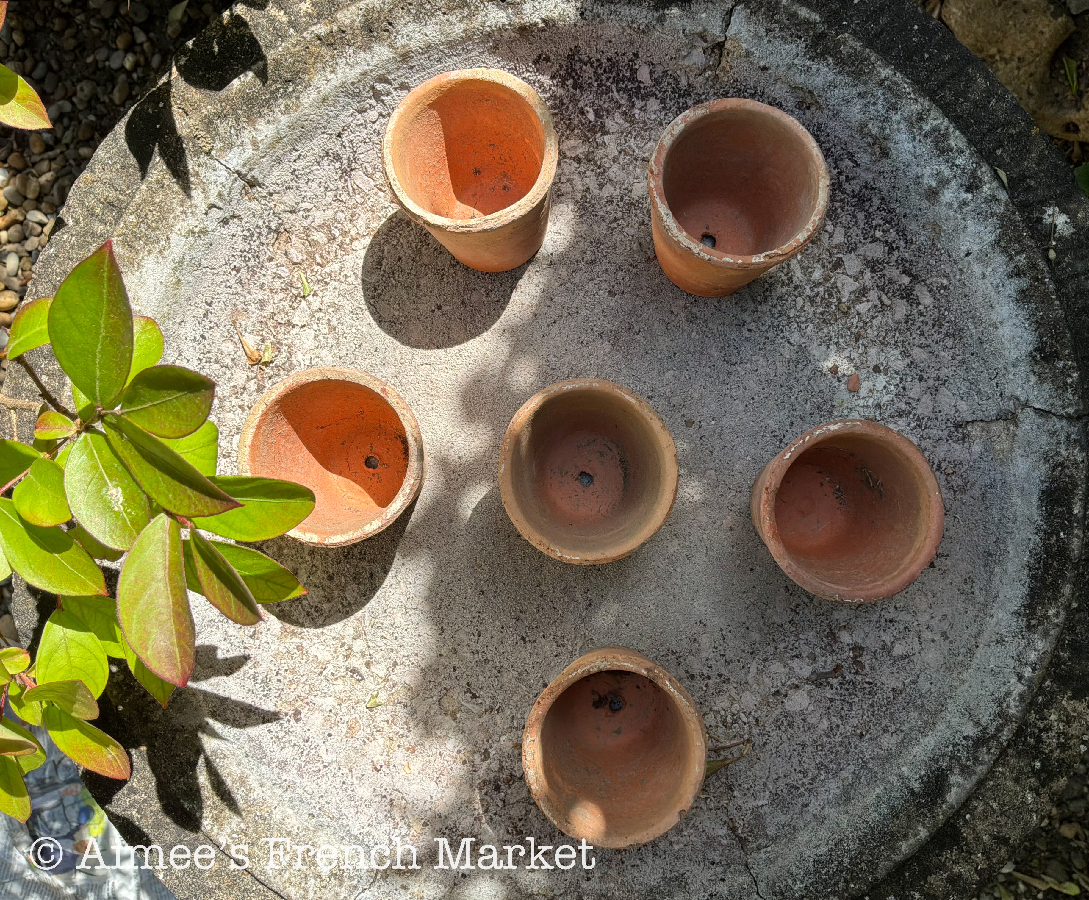Small Terra Cotta Seedling Pots - Set of 10
