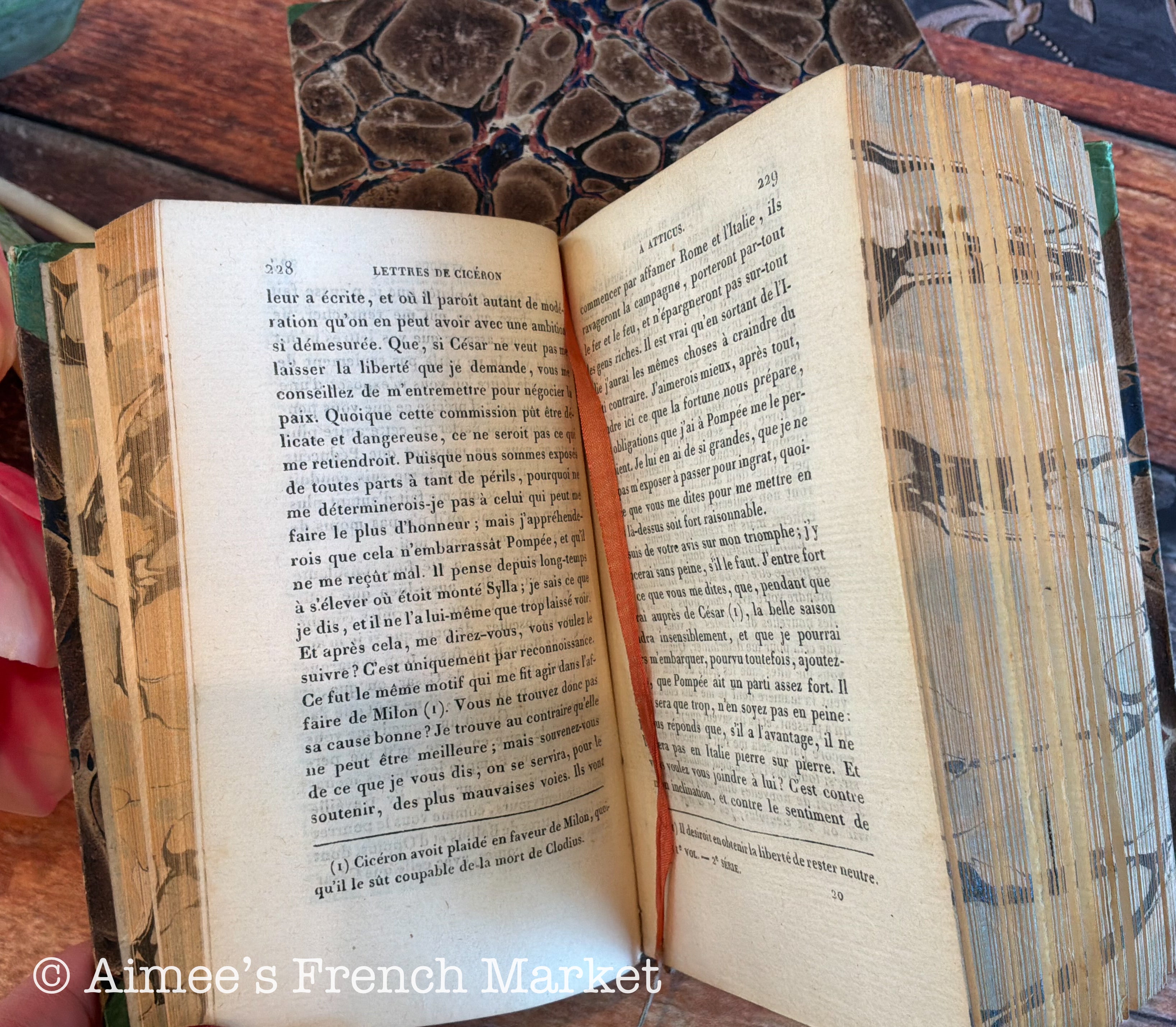200 Year Old Antique French Book Set of 3, 1819 | Bibliothèque des Dames | Paris | Cottagecore Decor
