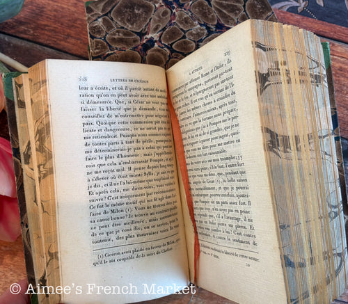 200 Year Old Antique French Book Set of 3, 1819 | Bibliothèque des Dames | Paris | Cottagecore Decor