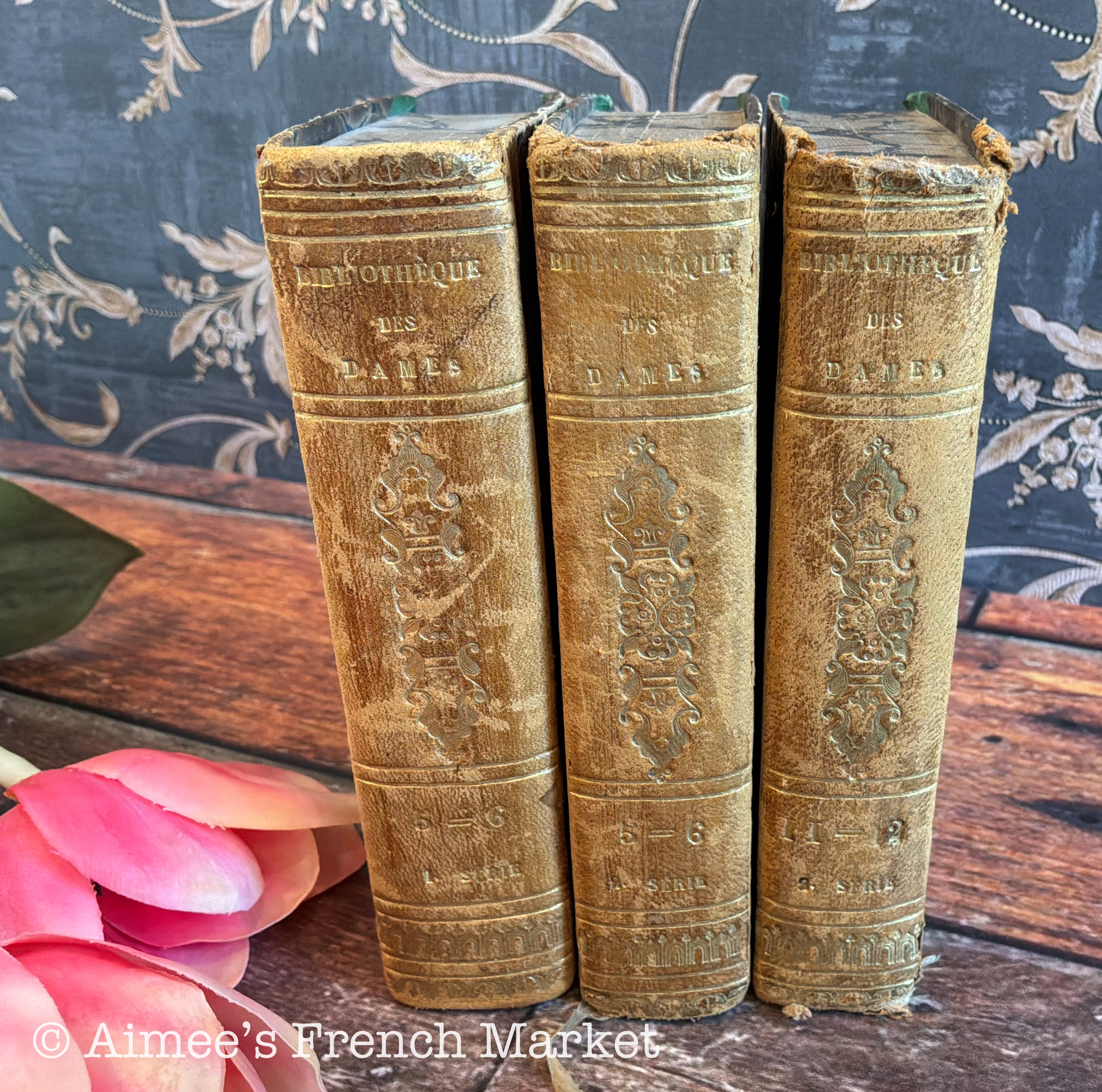 200 Year Old Antique French Book Set of 3, 1819 | Bibliothèque des Dames | Paris | Cottagecore Decor