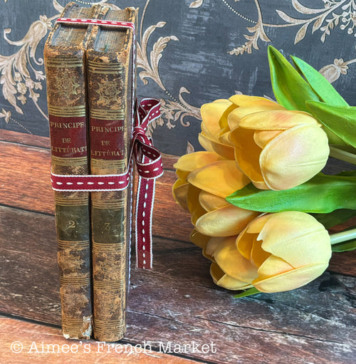 Set of 2 Antique French Books 1824 | Principes de Littérature | Paris | Leather Bound Cottagecore Decor | 200 Year Old Books