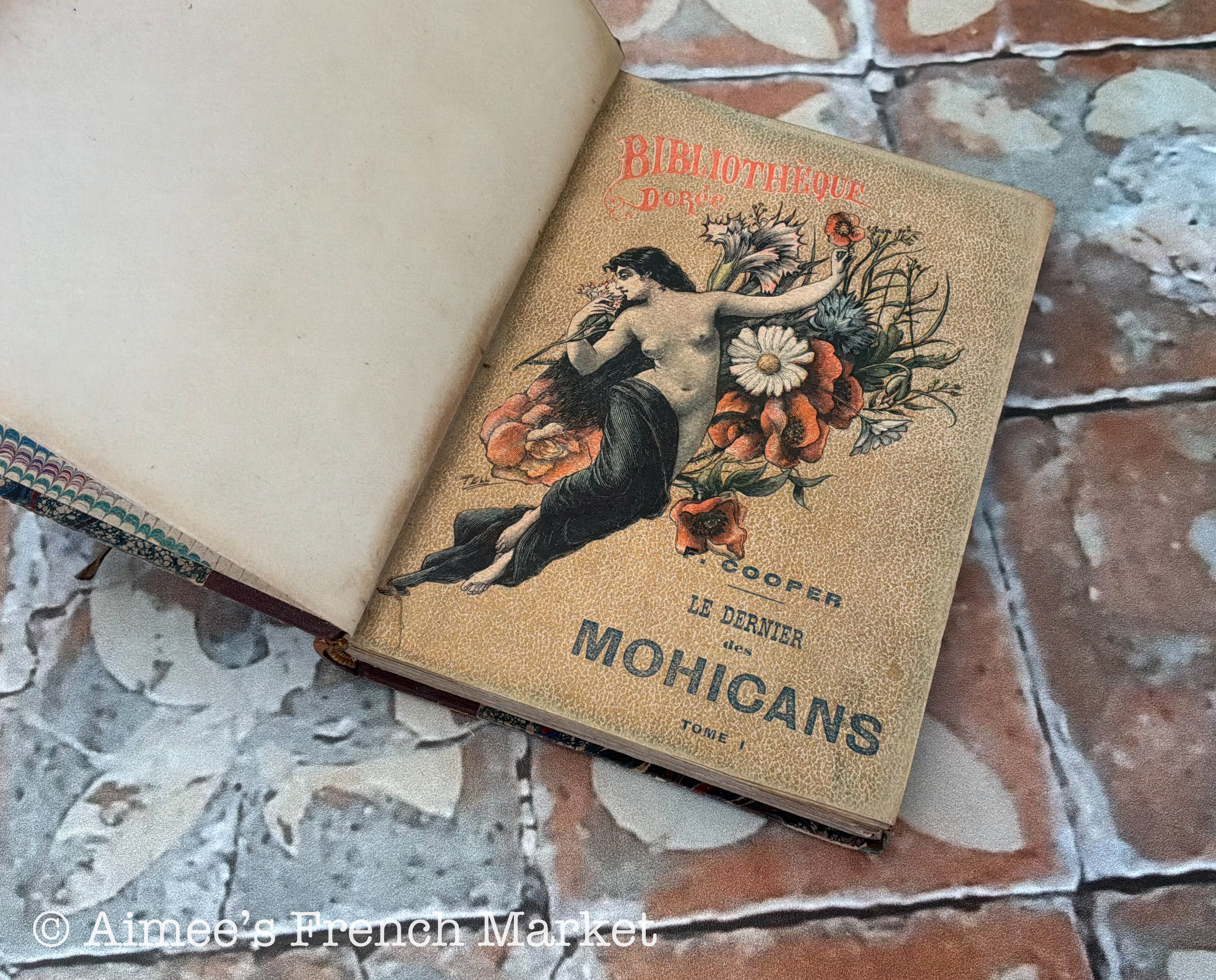 Antique French Last of the Mohicans Book, Circa 1890s, French and Indian War