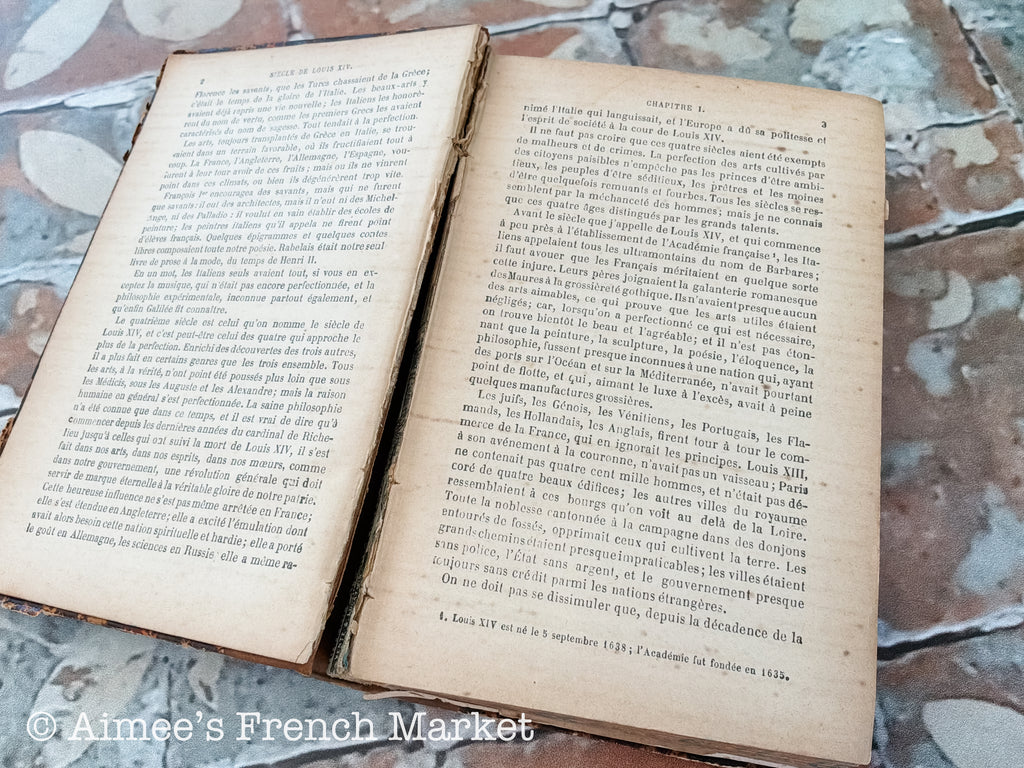 Antique French Voltaire Book, Le Siècle de Louis XIV, Circa 1866