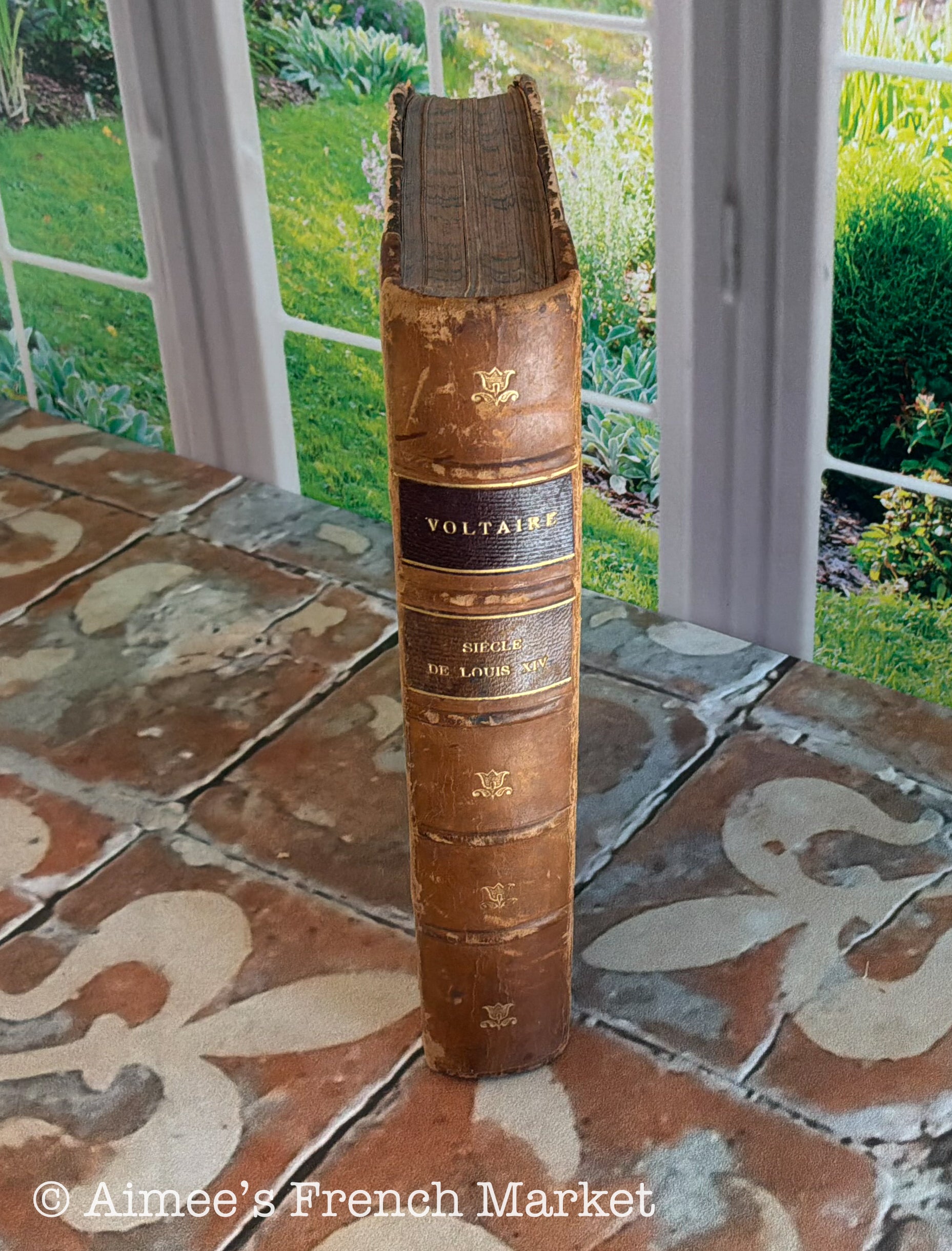 Antique French Voltaire Book, Le Siècle de Louis XIV, Circa 1866