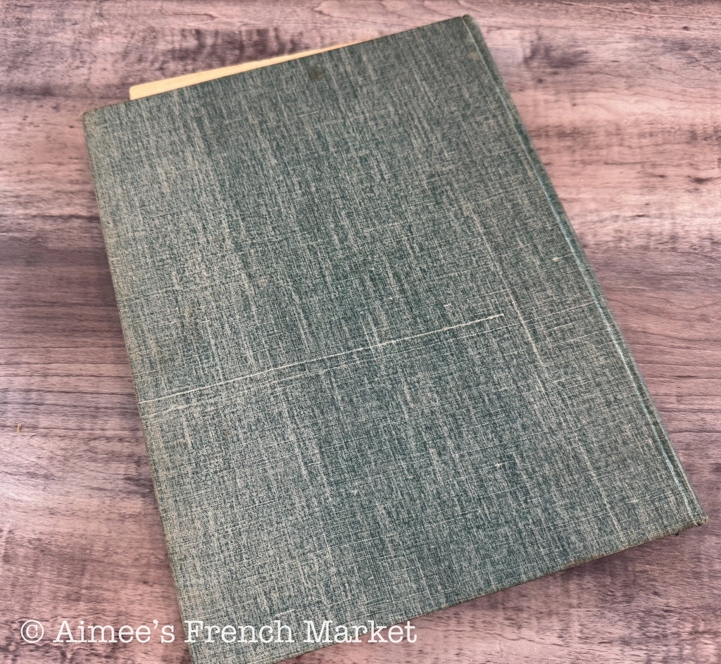RARE - Full year compilation of Le Pot au Feu Lady's Magazine, 1896