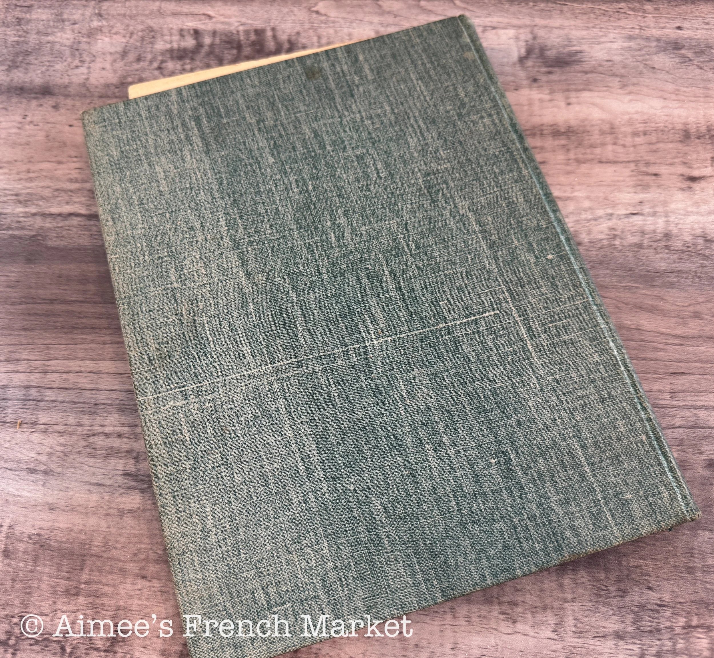 RARE - Full year compilation of Le Pot au Feu Lady's Magazine, 1896