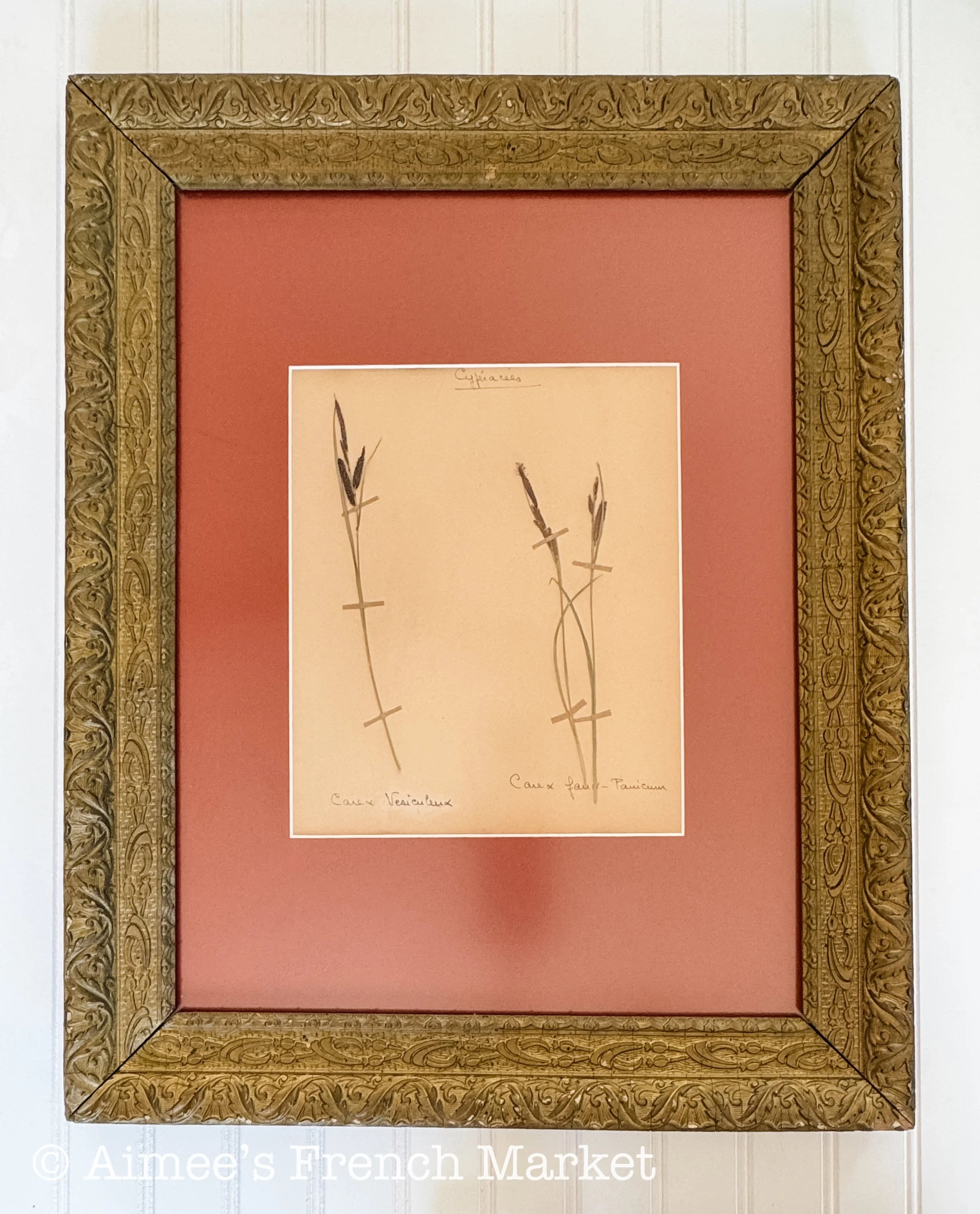 P.PASCAL アンティーク ウッドフレーム ART FRANCE 20% off - French Vintage Botanical with Antique French Frame